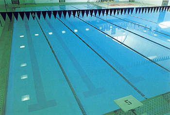Swim in our Olympic sized swimming pool!